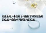 釣魚魚鉤大小選擇（釣魚時(shí)怎樣判斷魚鉤的位置 釣魚如何判斷魚鉤的位置）