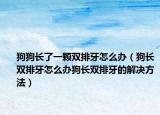 狗狗長了一顆雙排牙怎么辦（狗長雙排牙怎么辦狗長雙排牙的解決方法）