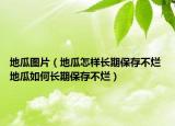 地瓜圖片（地瓜怎樣長(zhǎng)期保存不爛 地瓜如何長(zhǎng)期保存不爛）