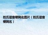 姓氏諧音梗網(wǎng)名圖片（姓氏諧音梗網(wǎng)名）