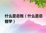 什么是總賬（什么是總督學）
