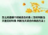 怎么知道哪個時候適合釣魚（怎樣判斷當天是否好釣魚 判斷當天適合釣魚的方法）