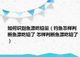 如何識(shí)別魚(yú)漂吃鉛量（釣魚(yú)怎樣判斷魚(yú)漂吃鉛了 怎樣判斷魚(yú)漂吃鉛了）