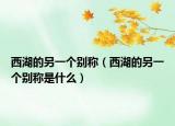 西湖的另一個別稱（西湖的另一個別稱是什么）