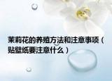 茉莉花的養(yǎng)殖方法和注意事項（貼壁紙要注意什么）