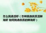 怎么挑選活蝦（怎樣挑選優(yōu)質(zhì)活鮮海蝦 如何挑選優(yōu)質(zhì)的鮮海蝦）