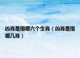 兇肖是指哪六個(gè)生肖（兇肖是指哪幾肖）