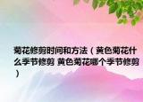 菊花修剪時(shí)間和方法（黃色菊花什么季節(jié)修剪 黃色菊花哪個(gè)季節(jié)修剪）