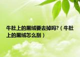 牛肚上的黑絨要去掉嗎?（牛肚上的黑絨怎么刮）