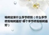榆樹盆景什么季節(jié)修剪（什么季節(jié)修剪榆樹最好 哪個季節(jié)修剪榆樹最好）