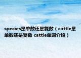 species是單數(shù)還是復(fù)數(shù)（cattle是單數(shù)還是復(fù)數(shù) cattle單詞介紹）