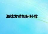 海綿發(fā)黃如何補(bǔ)救