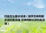 釣魚怎么看水深淺（新手怎樣判斷水深釣魚深淺 怎樣判斷水深釣魚深淺）