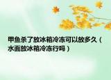 甲魚殺了放冰箱冷凍可以放多久（水面放冰箱冷凍行嗎）