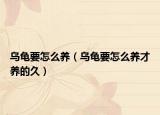 烏龜要怎么養(yǎng)（烏龜要怎么養(yǎng)才養(yǎng)的久）