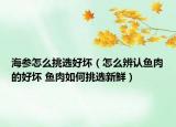 海參怎么挑選好壞（怎么辨認魚肉的好壞 魚肉如何挑選新鮮）
