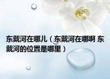 東戴河在哪兒（東戴河在哪啊 東戴河的位置是哪里）