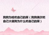 狗狗為啥吃自己的屎（狗狗偶爾吃自己大便狗為什么吃自己的屎）