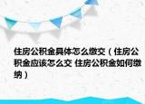住房公積金具體怎么繳交（住房公積金應該怎么交 住房公積金如何繳納）