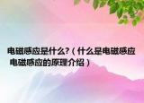 電磁感應(yīng)是什么?（什么是電磁感應(yīng) 電磁感應(yīng)的原理介紹）