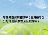 怎樣分普洱茶的好壞（普洱茶怎么分好壞 普洱茶怎么區(qū)分好壞）