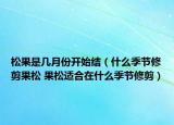 松果是幾月份開(kāi)始結(jié)（什么季節(jié)修剪果松 果松適合在什么季節(jié)修剪）