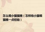 怎么喂小貓貓糧（怎樣給小貓喂貓糧一點經(jīng)驗）