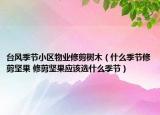 臺風(fēng)季節(jié)小區(qū)物業(yè)修剪樹木（什么季節(jié)修剪堅果 修剪堅果應(yīng)該選什么季節(jié)）