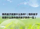 領養(yǎng)孩子需要什么條件?（領養(yǎng)孩子需要什么條件領養(yǎng)孩子條件一覽）