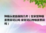 種植頭發(fā)能保持幾年（在家里種植姜蔥蒜可以嗎 家里可以種植姜蔥蒜嗎）
