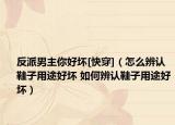 反派男主你好壞[快穿]（怎么辨認鞋子用途好壞 如何辨認鞋子用途好壞）