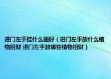 進(jìn)門(mén)左手掛什么畫(huà)好（進(jìn)門(mén)左手放什么植物招財(cái) 進(jìn)門(mén)左手放哪些植物招財(cái)）