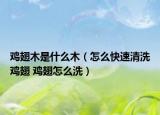 雞翅木是什么木（怎么快速清洗雞翅 雞翅怎么洗）