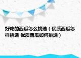 好吃的西瓜怎么挑選（優(yōu)質西瓜怎樣挑選 優(yōu)質西瓜如何挑選）