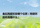 魚缸陶瓷環(huán)放哪個位置（陶瓷環(huán)的作用是什么）