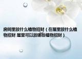 房間里放什么植物招財（在屋里放什么植物招財 屋里可以放哪些植物招財）
