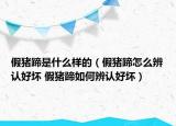 假豬蹄是什么樣的（假豬蹄怎么辨認好壞 假豬蹄如何辨認好壞）