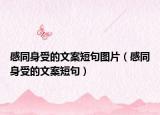 感同身受的文案短句圖片（感同身受的文案短句）