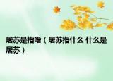 屠蘇是指啥（屠蘇指什么 什么是屠蘇）