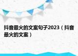 抖音最火的文案句子2023（抖音最火的文案）