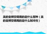 美的變頻空調(diào)用的是什么雪種（美的變頻空調(diào)用的是什么制冷劑）