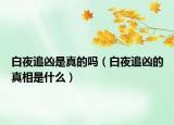 白夜追兇是真的嗎（白夜追兇的真相是什么）