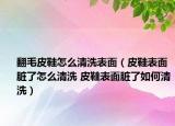 翻毛皮鞋怎么清洗表面（皮鞋表面臟了怎么清洗 皮鞋表面臟了如何清洗）