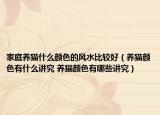 家庭養(yǎng)貓什么顏色的風(fēng)水比較好（養(yǎng)貓顏色有什么講究 養(yǎng)貓顏色有哪些講究）
