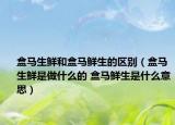 盒馬生鮮和盒馬鮮生的區(qū)別（盒馬生鮮是做什么的 盒馬鮮生是什么意思）