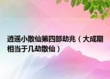 逍遙小散仙第四部劫兆（大成期相當(dāng)于幾劫散仙）