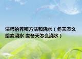 法師的養(yǎng)殖方法和澆水（冬天怎么給麥澆水 麥冬天怎么澆水）