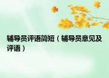 輔導(dǎo)員評語簡短（輔導(dǎo)員意見及評語）