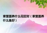家里面養(yǎng)什么花旺財(cái)（家里面養(yǎng)什么魚好）