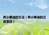 養(yǎng)小泰迪的方法（養(yǎng)小泰迪的注意事項(xiàng)）